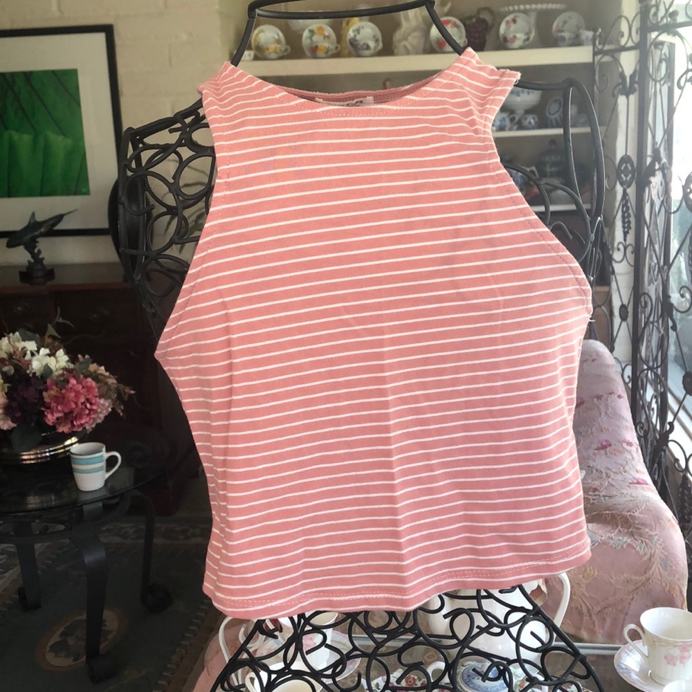 Heart & Hips Pink and White Striped Crop Top